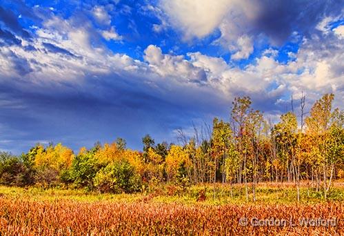 Autumn Landscape_28209-10.jpg - Photographed at Smiths Falls, Ontario, Canada.